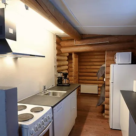 Classic Log Ski-in Ski-out 列维