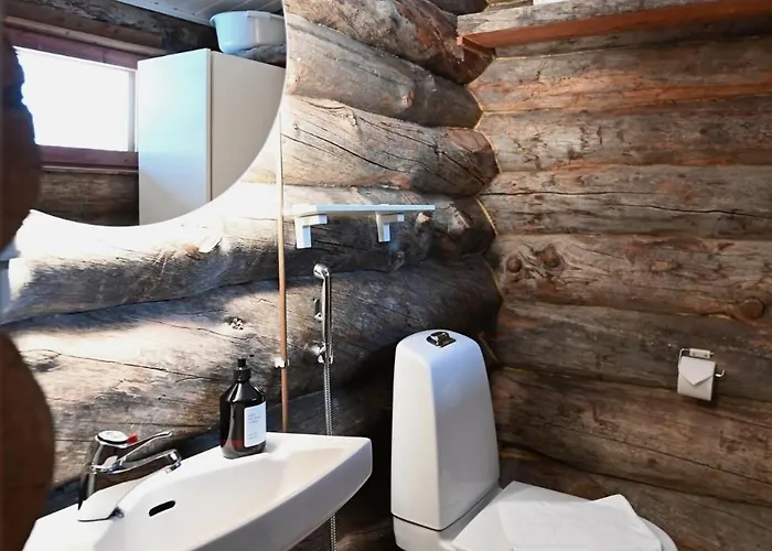 公寓 Classic Log Ski-in Ski-out 列维