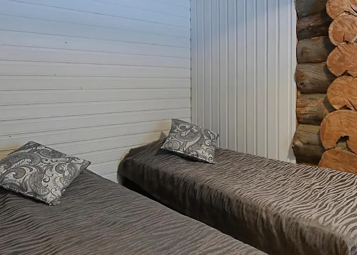 Classic Log Ski-in Ski-out 列维