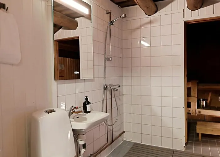 Classic Log Ski-in Ski-out